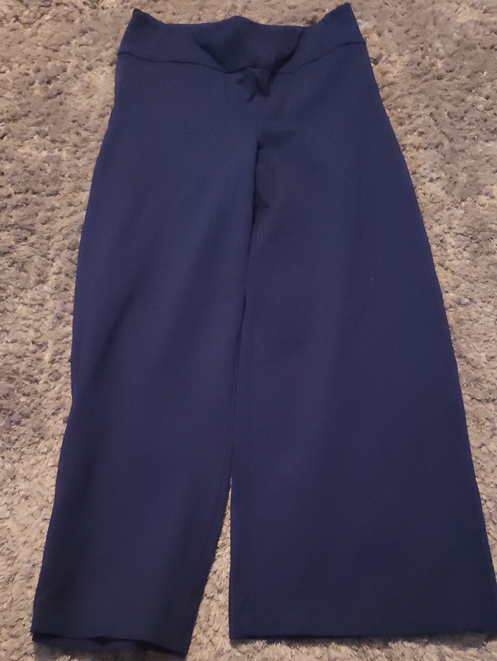 Scarlett Navy Wide-Leg High-Waist Pants